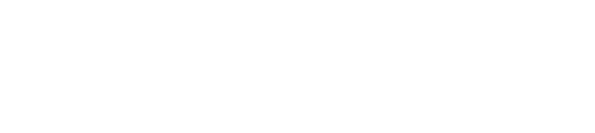 Speed Plus Cargo & Logistics Logo